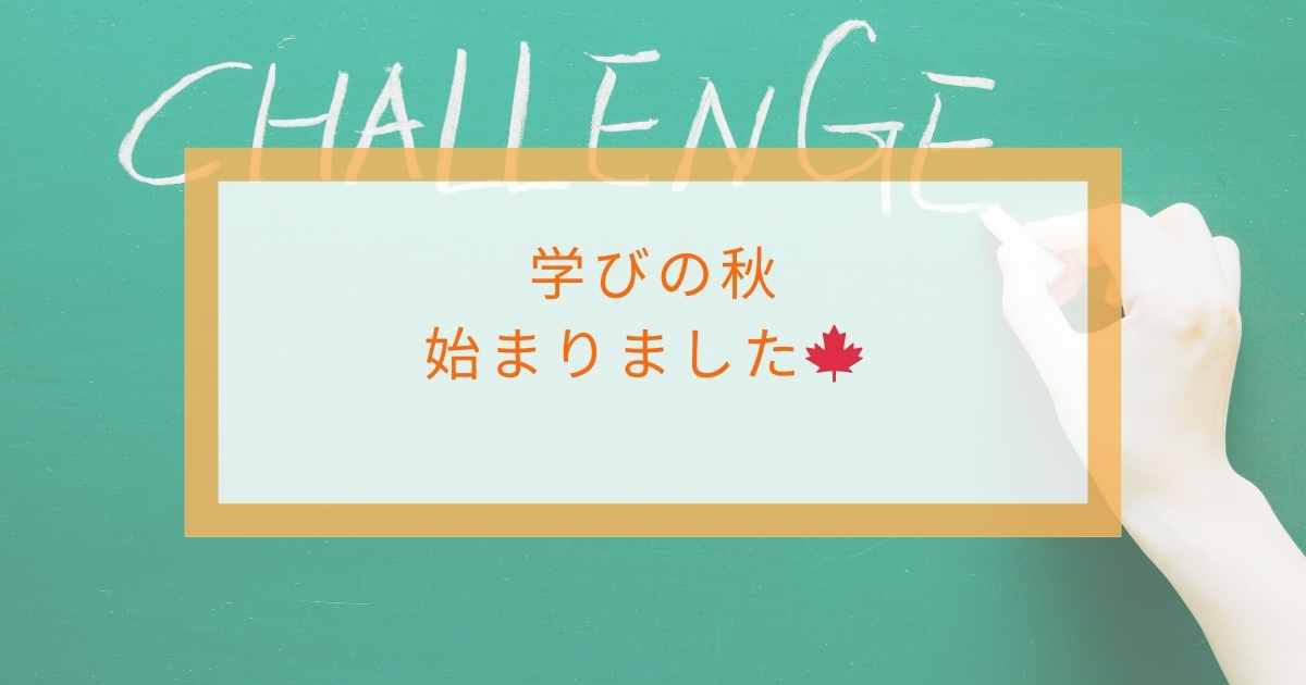 学びの秋です